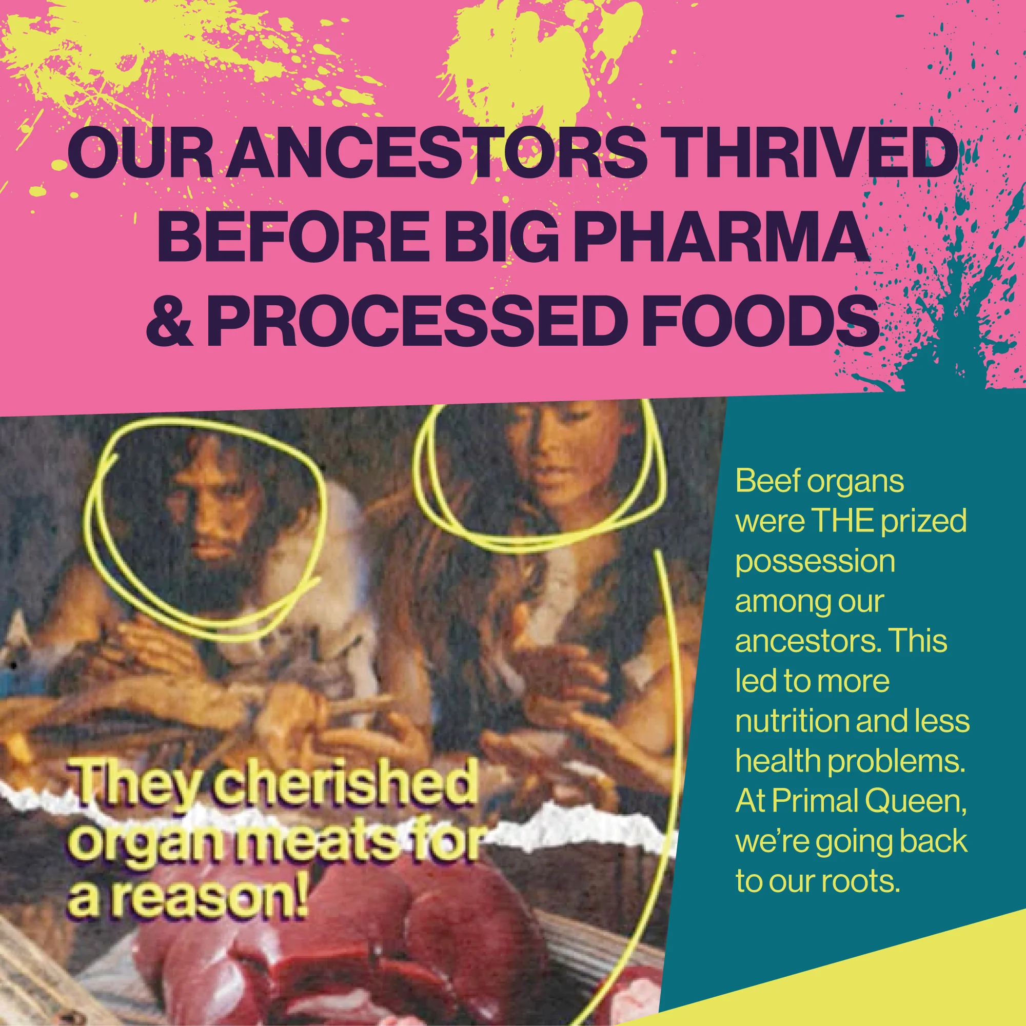 Primal Queen Beef Organ Superfood - 30 Day Refill - Image 12